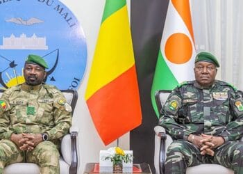 Niger Revokes Licences of Truckers Refusing Fuel Deliveries to Mali